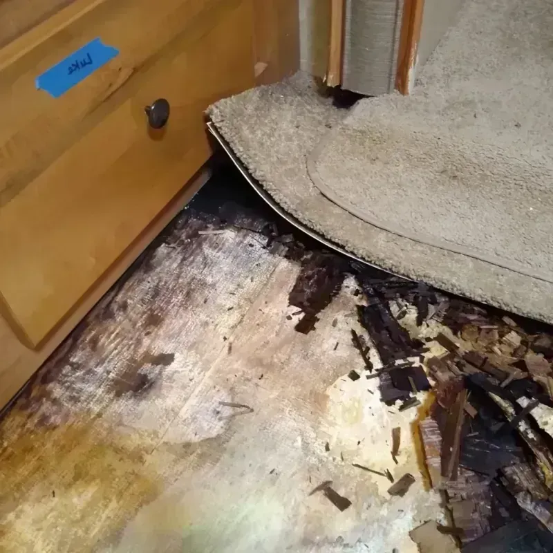 Best Wood Floor Water Damage Service in West Lake Hills, TX